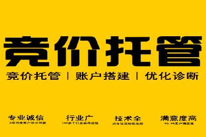 成功SEM代理案例：精准投放的策略